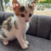 ABBY