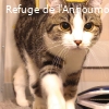 AGATHE