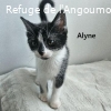 ALYNE