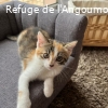 ANNOUCK