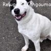 ARKO