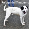 ARKO