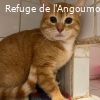 ARLO
