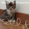 AURORE