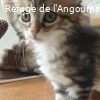 BABETTE