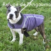 BIBOU