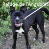 BOOBA