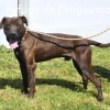 BOUBOU