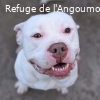BOULY