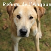 CALIN