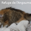 CLOCHETTE