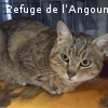 CLOCHETTE
