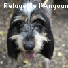 CLOCHETTE