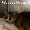 COSETTE renommée WILLOW