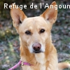DIM renommé SUN