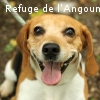 EPINGLE