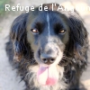FILOU