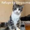 GAËTAN renommé SPUTNIK