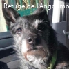 GAVROCHE