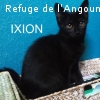 .IXION