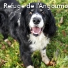 JUNIOR