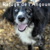LAIDY renommée MOLLIE