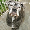 LARGO