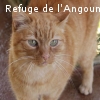 LASCAR