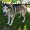 LEIKO