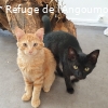 LEO renommé Alistair