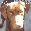 LOULOU