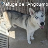 LOUNA