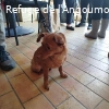 LUMINO