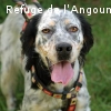 MAILIE