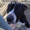 MAXOU