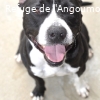 MAXOU