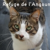 MAXOU
