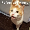MINETTE