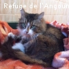 MINOU