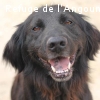 MUTCHU