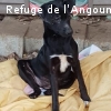 NAMOUR