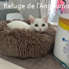 NEIGE