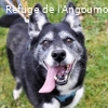 NELA