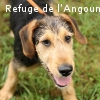 NIEKO renommé DIEGO