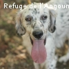 NOA