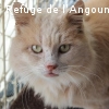NOUGAT