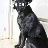 OXO