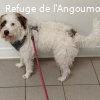 PENNY renommée INAYA