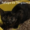 PÉPITE