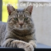 PERLITO